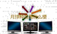 月球种菜是什么梗 